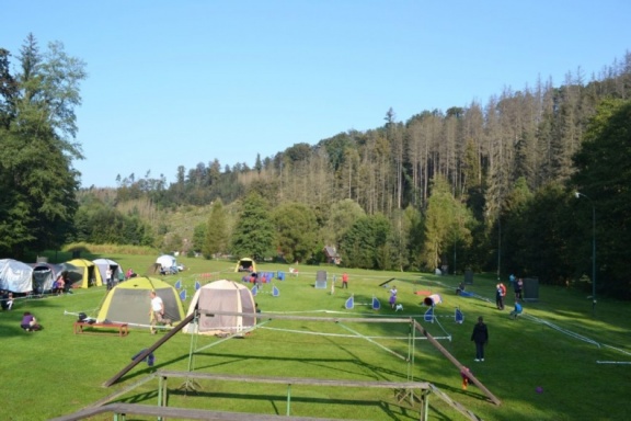 DSC 0207-1024x683