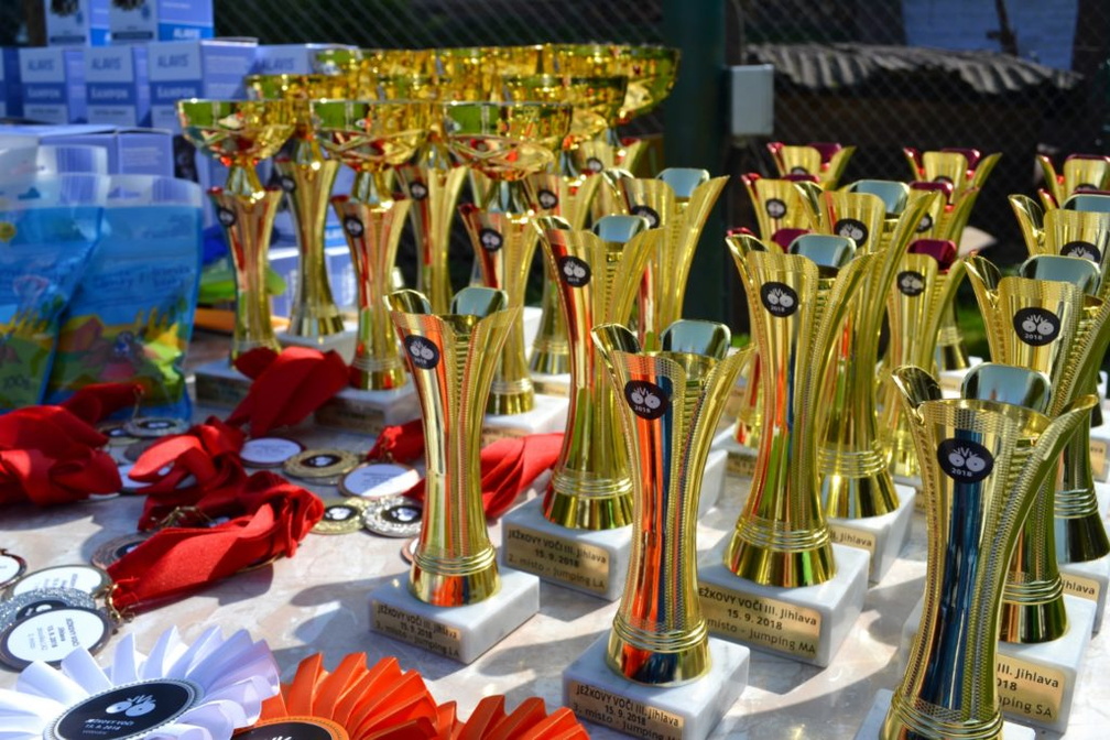 DSC 0038-1024x683
