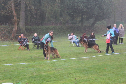 IMG-20241016-WA0006