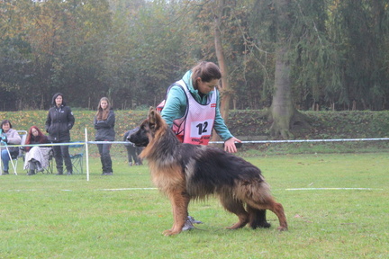 IMG-20241016-WA0010