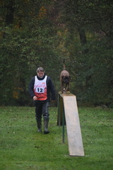 DSC 0590