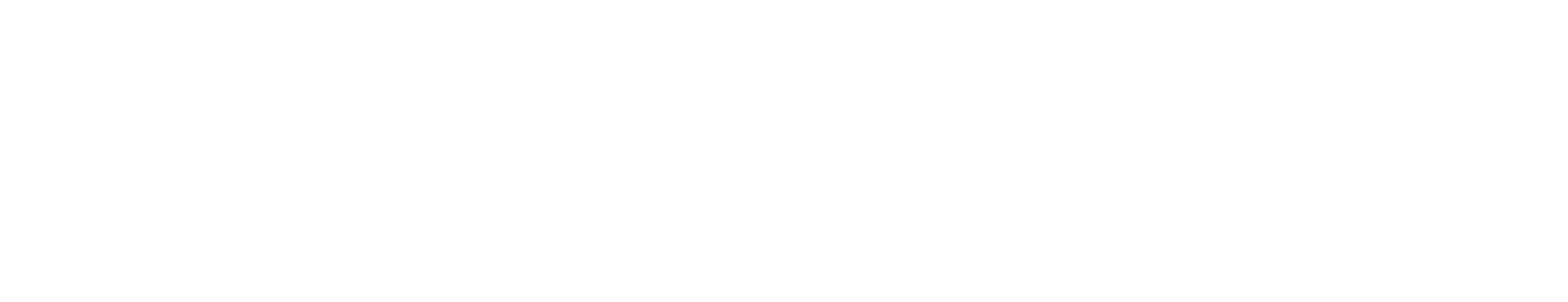 logo kk white
