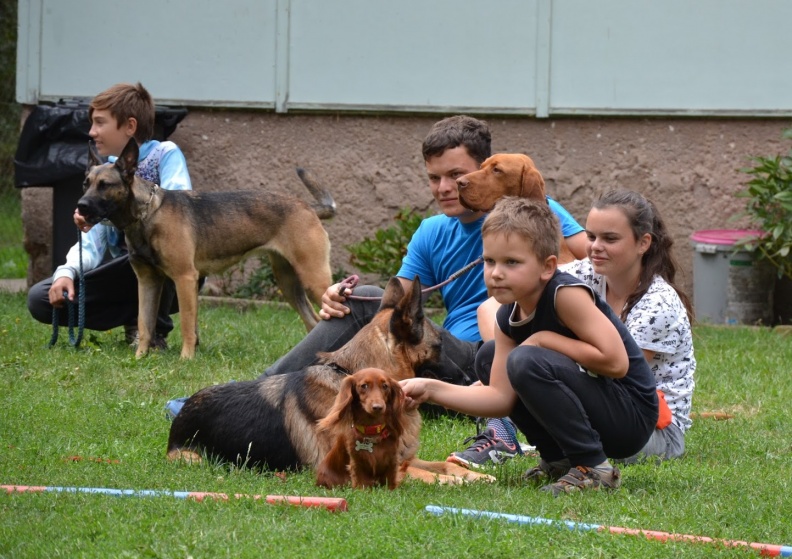 DSC_0914.jpg