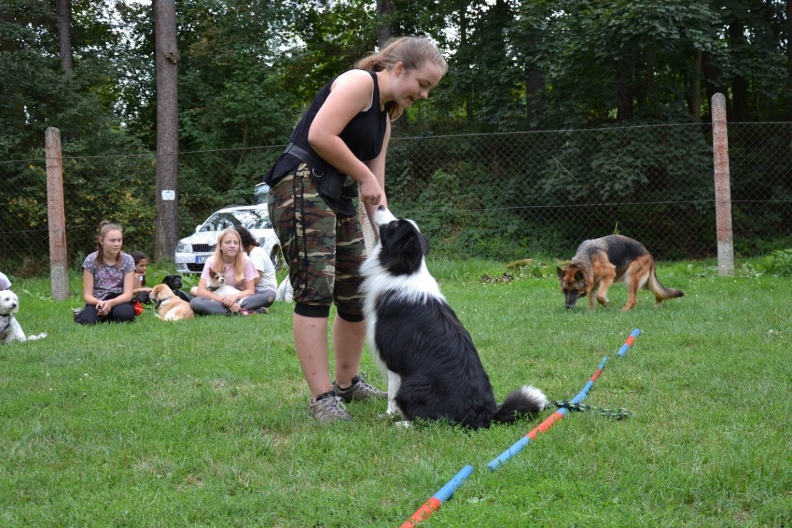 DSC_0986.jpg