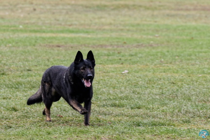 IMG 4820 DxO