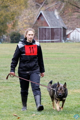 IMG 4840 DxO
