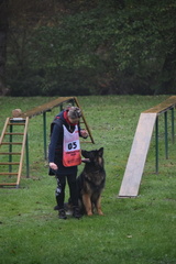 DSC 0531