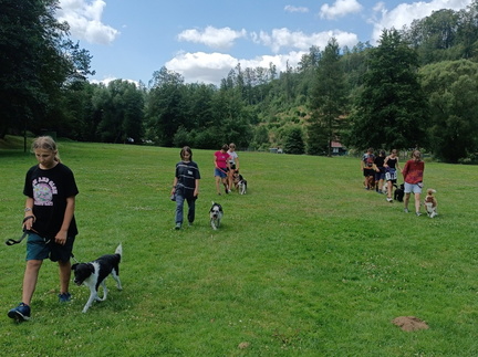 IMG-20250112-WA0004