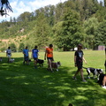 IMG-20250112-WA0005