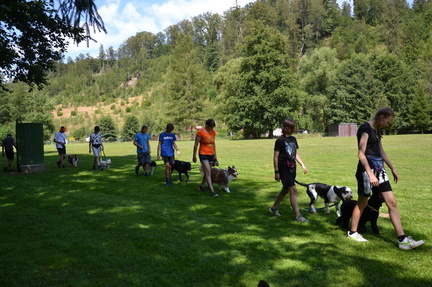IMG-20250112-WA0005